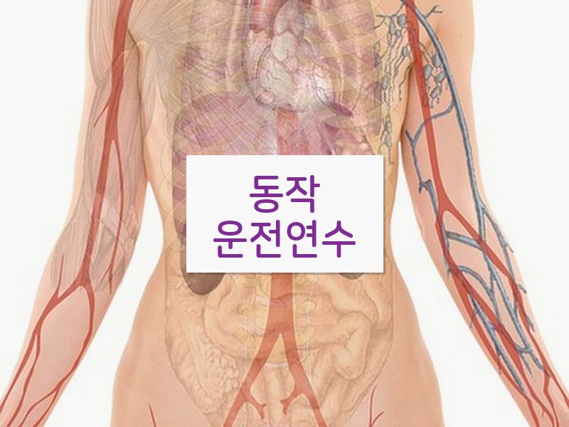 동작운전연수 후기