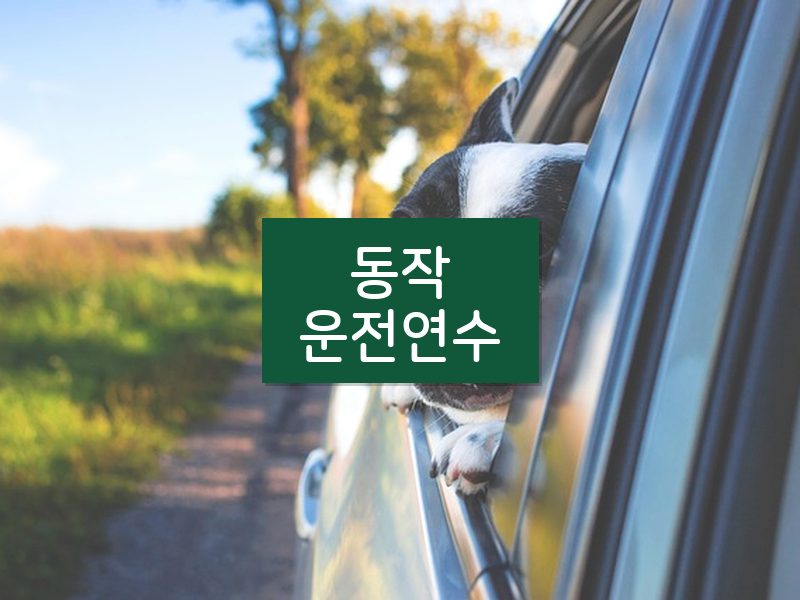 동작운전연수 후기