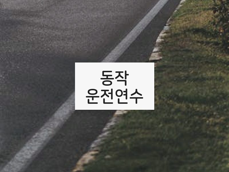 동작운전연수 후기