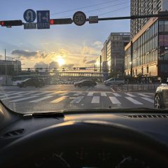 시야가 어두운 날 운전 무서웠어요