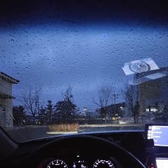 부모님 모시고 드라이브