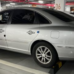 트럭 라인 놀라웠어요