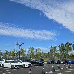 두려움 극복 후기 후기 이미지