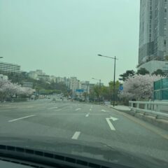 거래처 방문 후기