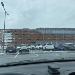 이사 후 동네 적응