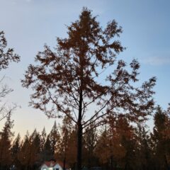 가족여행 운전 후기 후기 이미지