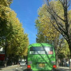 카페 드라이브 취미 후기 이미지