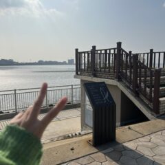 동작 쪽 야간 운전