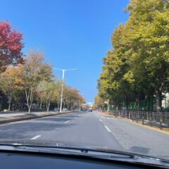 동작역 근처 마트 뽀개기