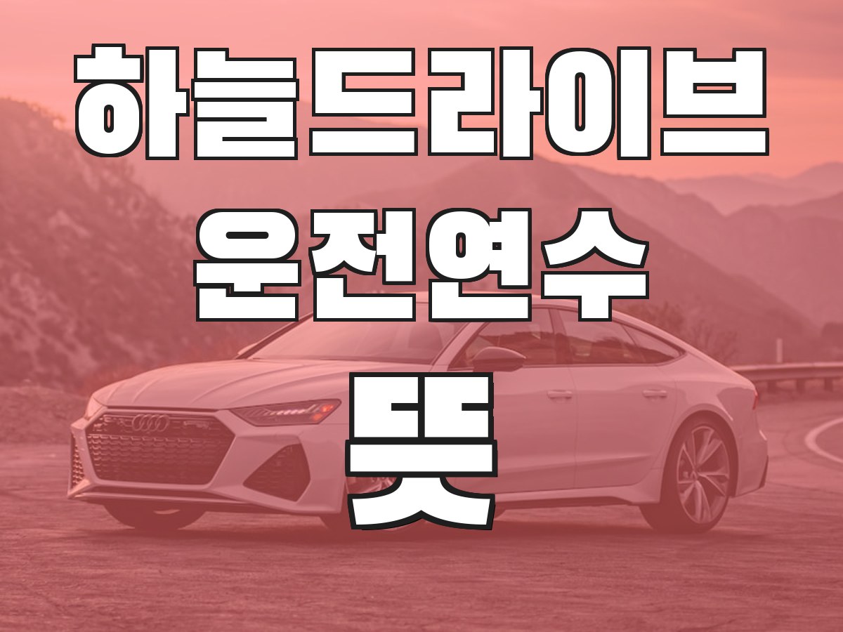 하늘드라이브 운전연수 뜻 - 운전연수의 의미와 필요성