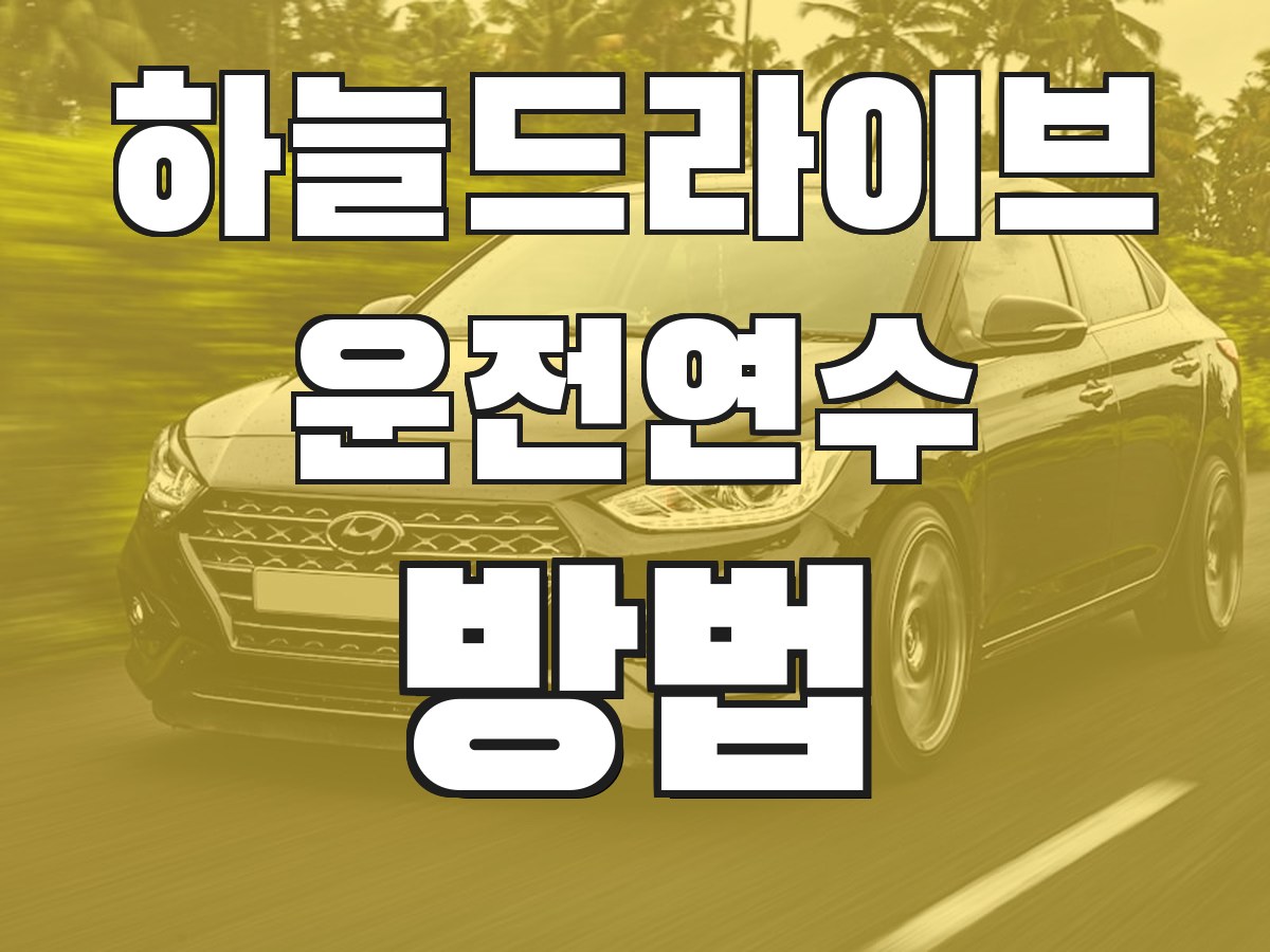 하늘드라이브 운전연수 방법 - 연수 진행 과정 안내